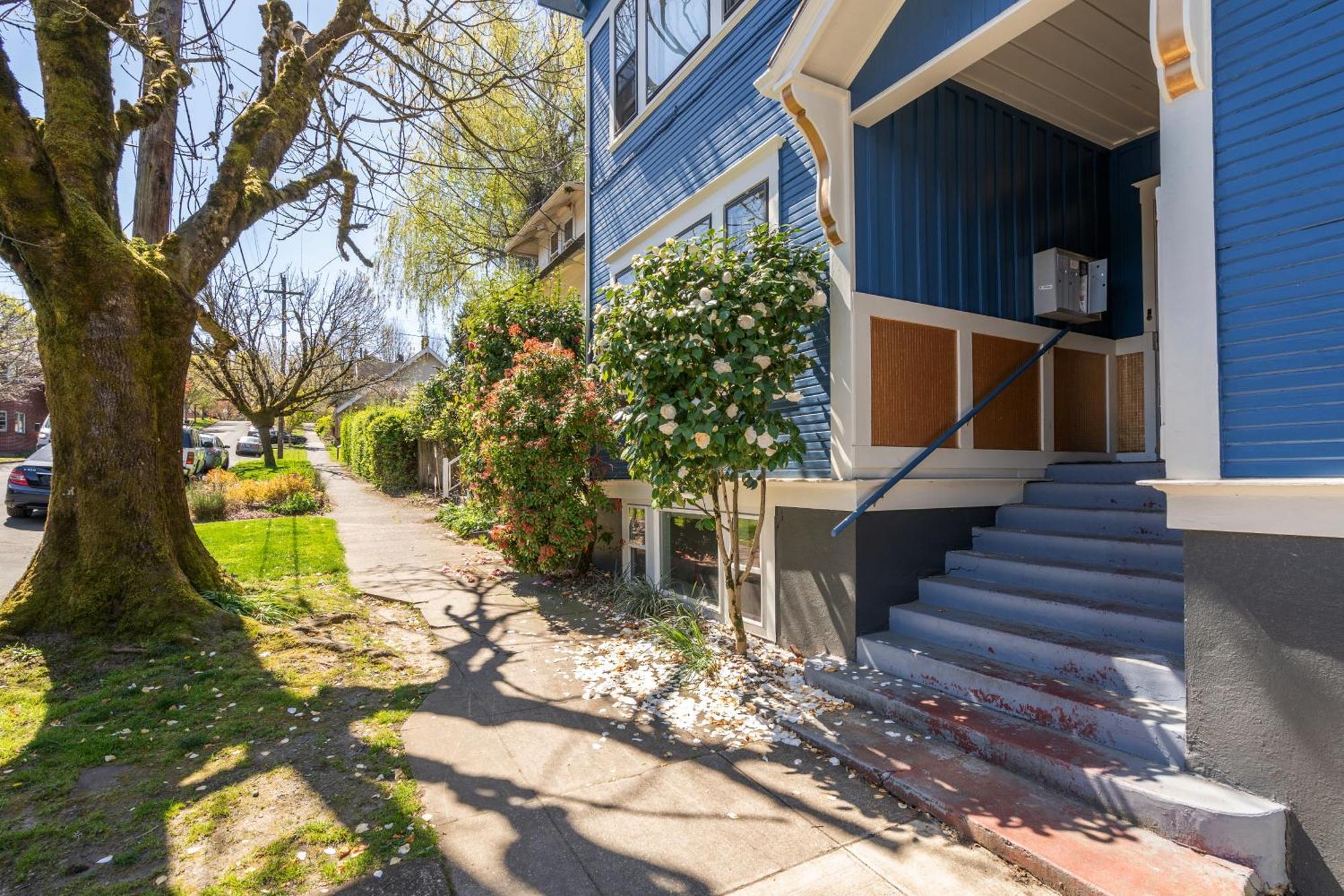 Collection - Sunnyside Wonderland- Coffee Shops, Bars & Parks * Portland